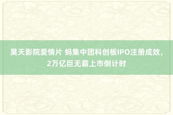 昊天影院爱情片 蚂集中团科创板IPO注册成效，2万亿巨无霸上市倒计时