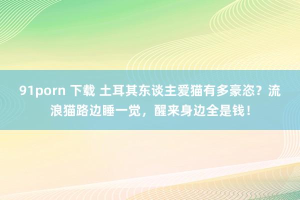 91porn 下载 土耳其东谈主爱猫有多豪恣？流浪猫路边睡一觉，醒来身边全是钱！