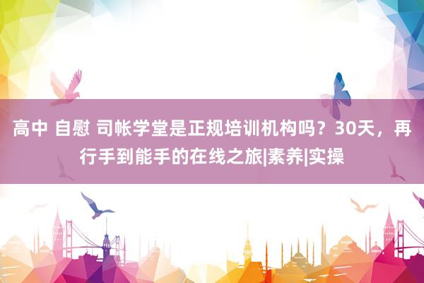 高中 自慰 司帐学堂是正规培训机构吗？30天，再行手到能手的在线之旅|素养|实操