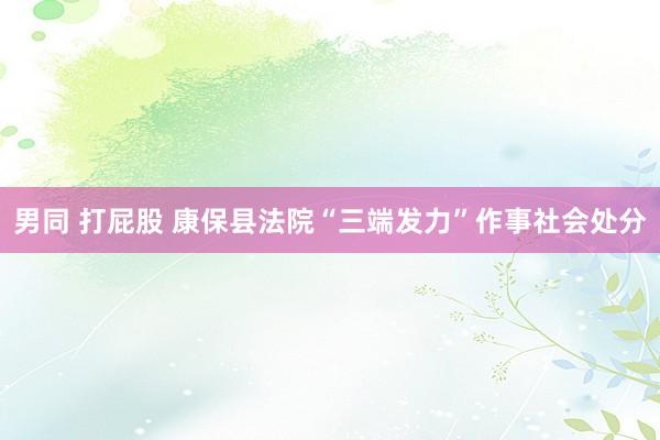 男同 打屁股 康保县法院“三端发力”作事社会处分