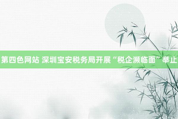 第四色网站 深圳宝安税务局开展“税企濒临面”举止