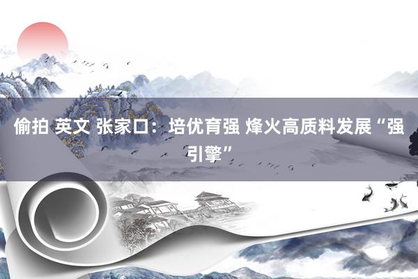 偷拍 英文 张家口：培优育强 烽火高质料发展“强引擎”