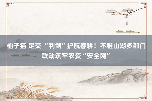 柚子猫 足交 “利剑”护航春耕！不雅山湖多部门联动筑牢农资“安全网”
