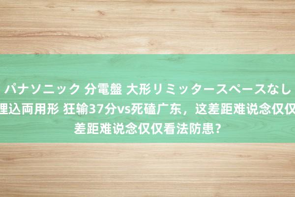 パナソニック 分電盤 大形リミッタースペースなし 露出・半埋込両用形 狂输37分vs死磕广东，这差距难说念仅仅看法防患？