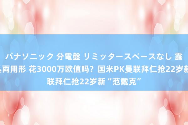 パナソニック 分電盤 リミッタースペースなし 露出・半埋込両用形 花3000万欧值吗？国米PK曼联拜仁抢22岁新“范戴克”
