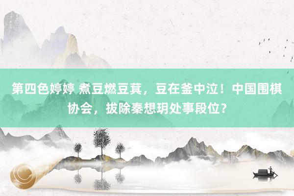 第四色婷婷 煮豆燃豆萁，豆在釜中泣！中国围棋协会，拔除秦想玥处事段位？