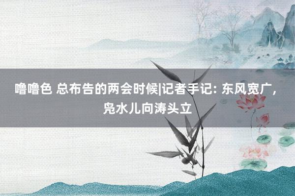 噜噜色 总布告的两会时候|记者手记: 东风宽广, 凫水儿向涛头立