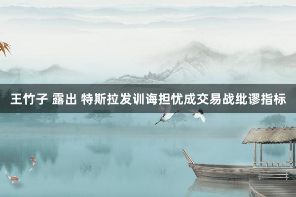 王竹子 露出 特斯拉发训诲担忧成交易战纰谬指标