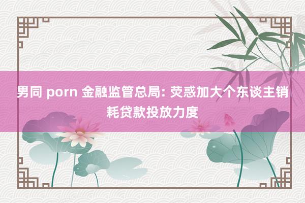 男同 porn 金融监管总局: 荧惑加大个东谈主销耗贷款投放力度