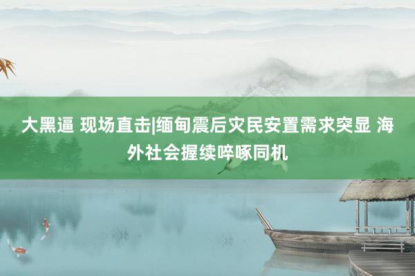 大黑逼 现场直击|缅甸震后灾民安置需求突显 海外社会握续啐啄同机