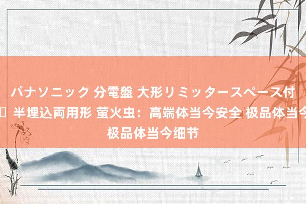 パナソニック 分電盤 大形リミッタースペース付 露出・半埋込両用形 萤火虫:高端体当今安全 极品体当今细节