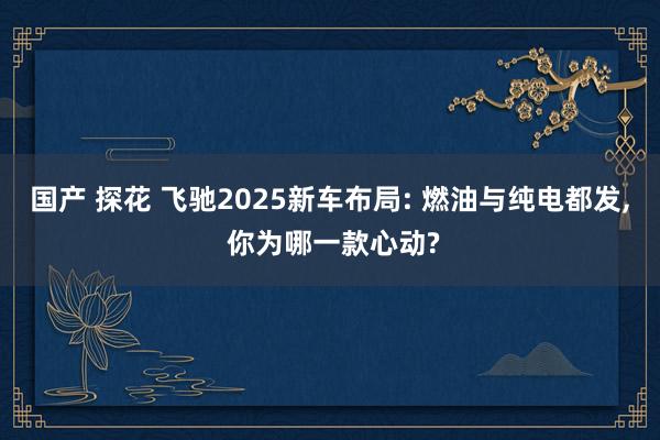 国产 探花 飞驰2025新车布局: 燃油与纯电都发, 你为哪一款心动?