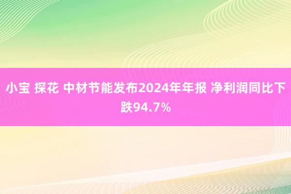 小宝 探花 中材节能发布2024年年报 净利润同比下跌94.7%