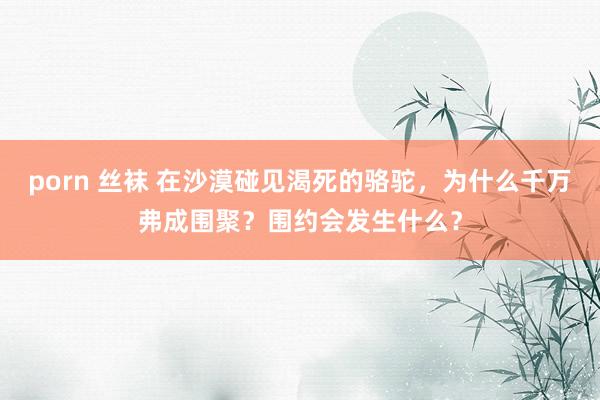 porn 丝袜 在沙漠碰见渴死的骆驼，为什么千万弗成围聚？围约会发生什么？