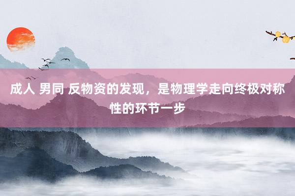 成人 男同 反物资的发现，是物理学走向终极对称性的环节一步