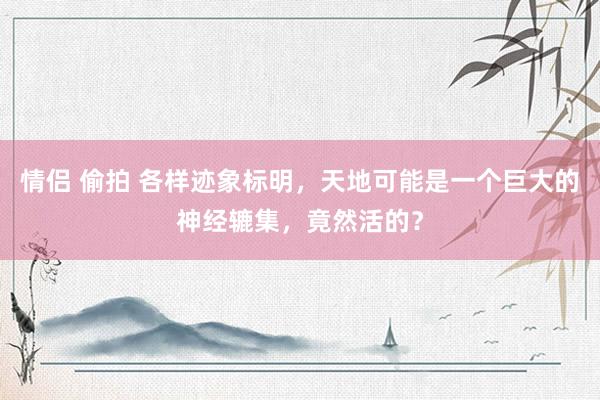 情侣 偷拍 各样迹象标明，天地可能是一个巨大的神经辘集，竟然活的？