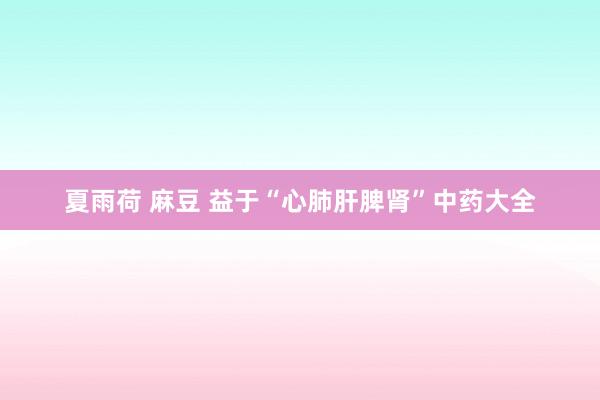 夏雨荷 麻豆 益于“心肺肝脾肾”中药大全
