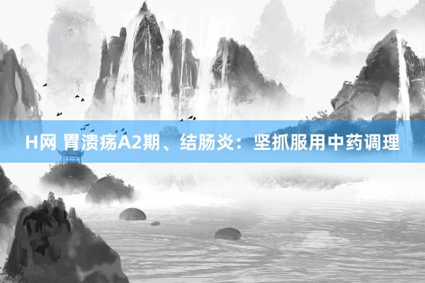H网 胃溃疡A2期、结肠炎：坚抓服用中药调理
