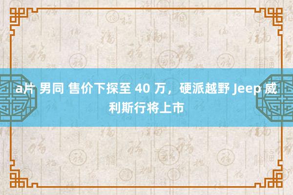 a片 男同 售价下探至 40 万，硬派越野 Jeep 威利斯行将上市